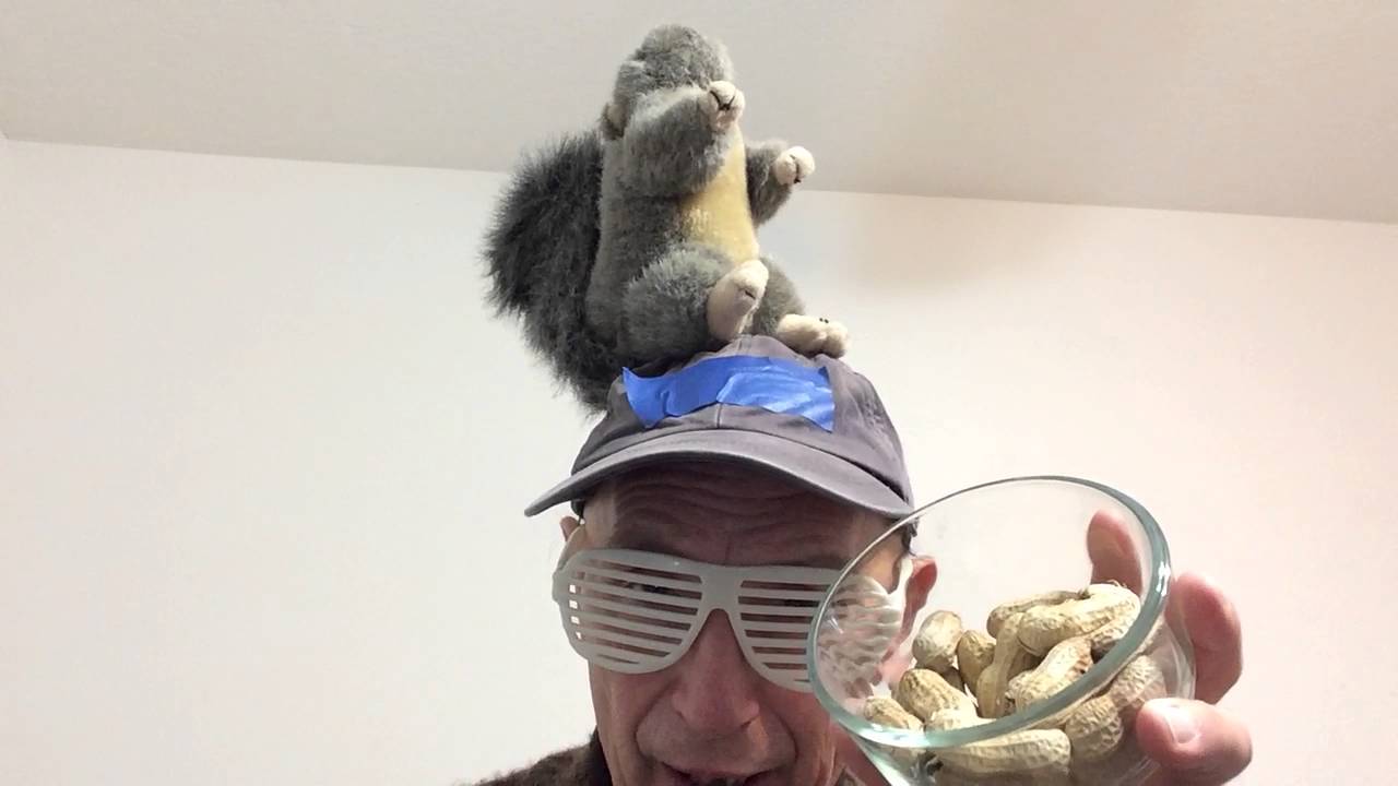 Why do squirrels swim on their backs?.......Ray