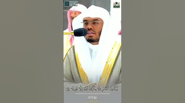 إن المنافقين يخادعون الله وهو خادعهم - تلاوة بديعة للشيخ  ياسر الدوسري