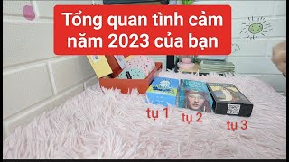 Tổng quan tình cảm năm 2023 của bạn, chọn 1 tụ - June Tarot