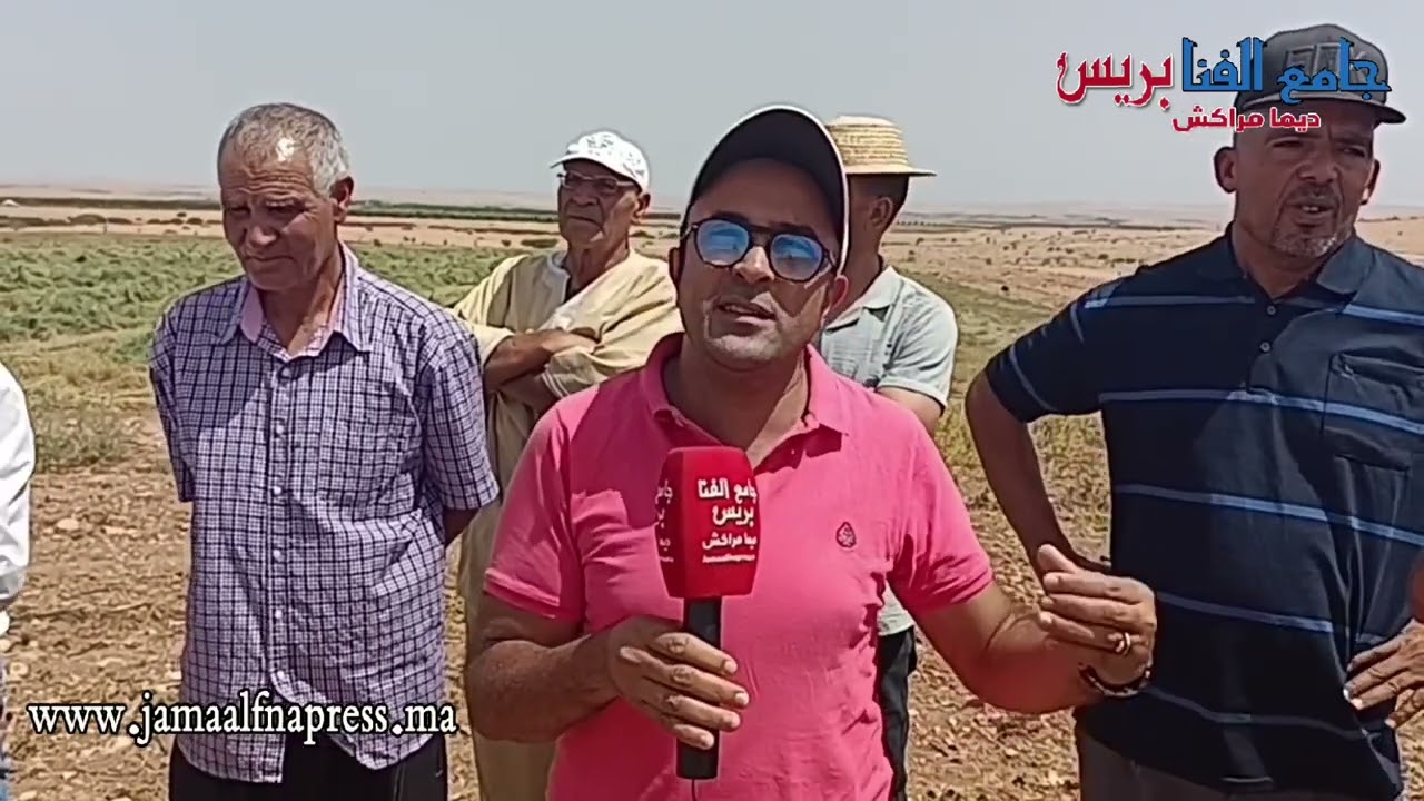 منتجو الشمندر السكري بقلعة السراغنة يوجهون شكايتهم للجهات المسؤولة ضد شركة كوزيمار