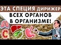 ЭТА СПЕЦИЯ ДИРИЖЕР ВСЕХ ОРГАНОВ В ОРГАНИЗМЕ! Лишний вес, худоба, стресс, зоб, зира Исламбекова.