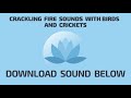 Crackling fire sounds with birds and crickets  sound effect