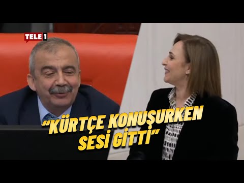 Tam o ana denk gelince... Sırrı Süreyya Önder ile DEM Partili vekilin şakalaşması güldürdü