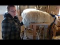 Milking Eastern Freisian Sheep (2018)