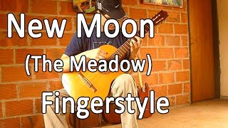 The Meadow (New Moon OST) [Fingerstyle Guitar]