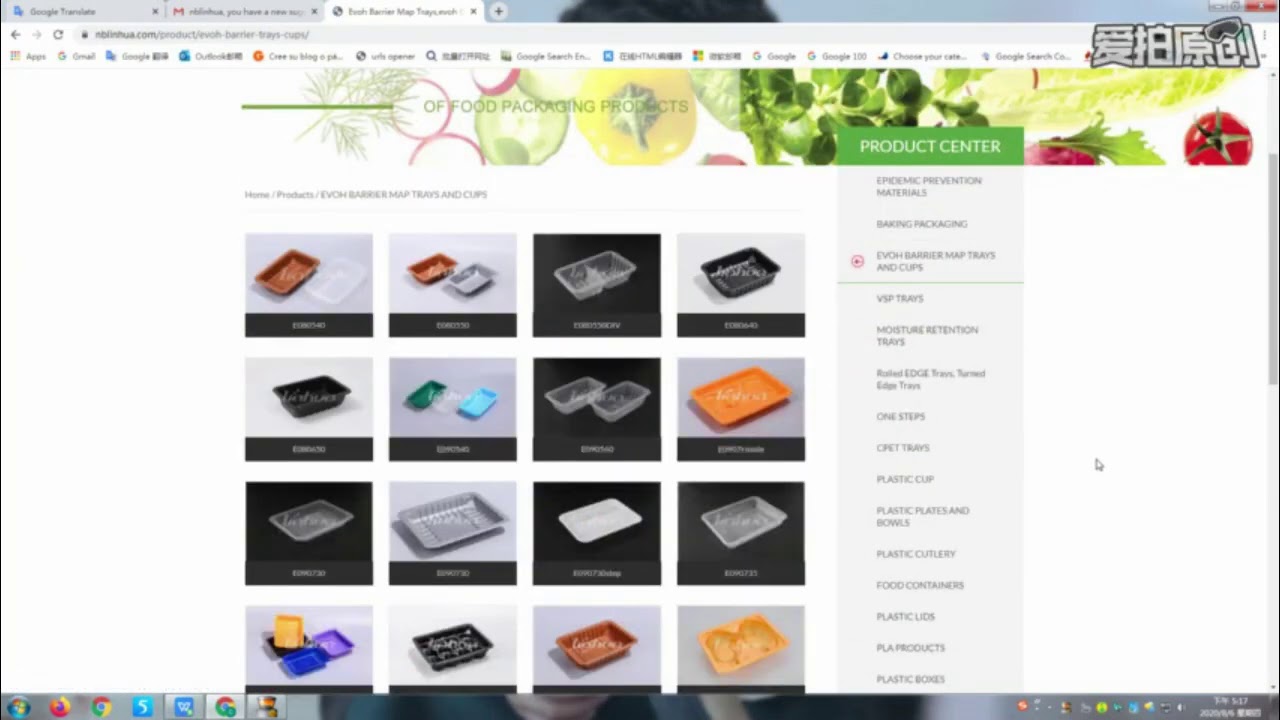 Plastic Dinnerware Plate Bowl