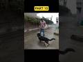 🌧️ Srinagar Rain Vlog with Rex 🐶 | Army Bhai & A Perfect Kashmir Morning | Ladakh Ride Ep.10