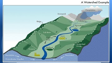 Water cycle 3 - Google Slides