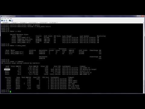 Efficient Virtualization of Oracle Solaris (LDoms/Zones)