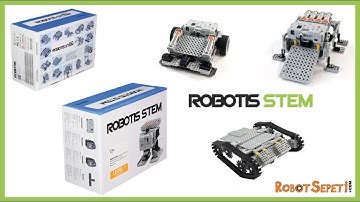 ROBOTIS STEM (Yarışçı - Savaşçı Böcek - Taklacı)
