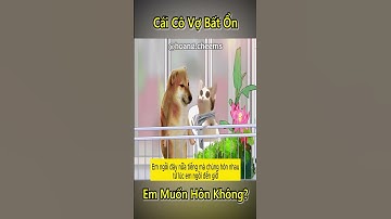 Cái Cô Vợ Bất Ổn Của Anh Đen Xì Xì 🤣- Tập 16 #shorts