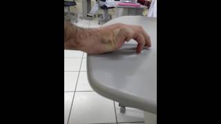 Dedos Mais Flexíveis Do Mundo