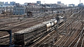 2017/04/16 JR Freight with EF210-126 at Sasashima Signals