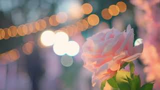 Za Tebe Uvek Bicu Tu I U Dobru I U Zlu Mix 2026