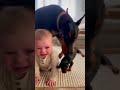 रोते बच्चे को पप्पी दिखाया… और सब बदल गया ➡️😍Mom Dog’s Secret Weapon Stops the Baby Crying Instantly
