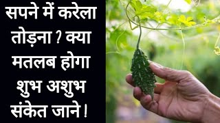 सपने में करेला तोड़ना ? Sapne Me Karela Todna. Bitter gourd in dreams. Karela Dreams.