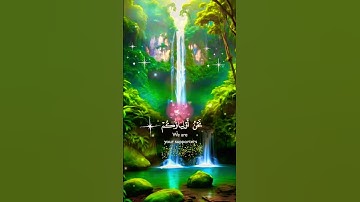 القران الكريم #الله #المصحف #القرآن_الكريم #قران #الرحمن #راحة_نفسية #يارب #اكسبلور #تيك_توك