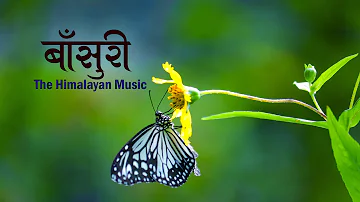 Nepali Flute Music || Meditation Music || Himalayan Flute Music || Relaxing Music|| बाँसुरी [ Ep 3]