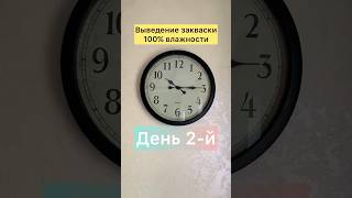 Выведение закваски 100% влажности. День 2-й.