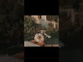 Ishqa Ve - Zeeshan Ali | 💔🌙 Aesthetic Status | Chill Vibezs