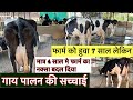        4        kamiyab dairy farm gujrat