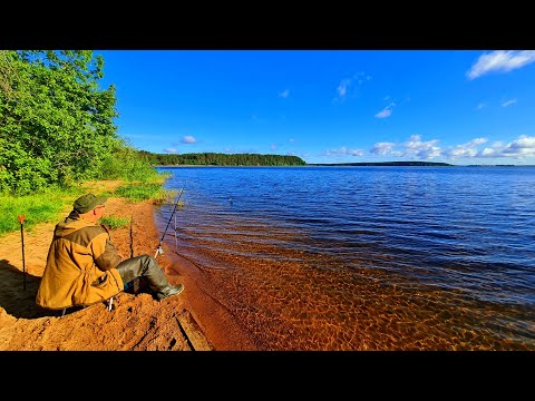 Лето. Отдых. Селигер 2022. Seliger Lake