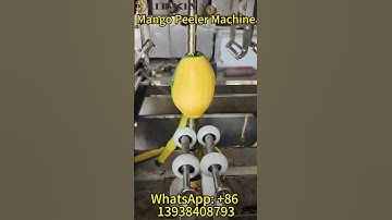 Professional Mango Peeler Machine For Sale #foodprocessing #mango #peeler #peelingmachine
