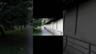 2025年10月25日(土)京都自転車/Kyoto Bicycle October 25, 2025
