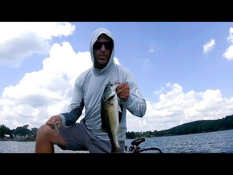 Bass fishing Logan Martin lake August 2024