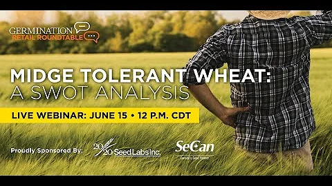 Midge Tolerant Wheat: A SWOT Analysis (A Retail Ro...