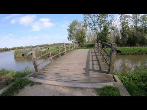 Rustige nazomer wandeling rondom de Boonervliet bij Maassluis