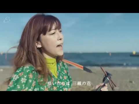 三線の花(cover)