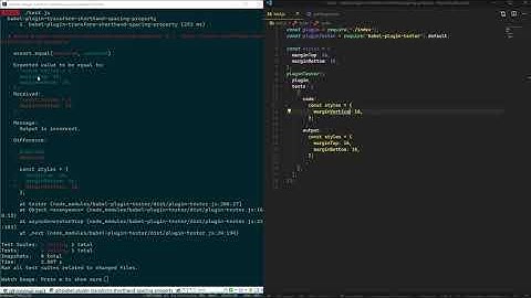06 - Test a Babel plugin with babel-plugin-tester