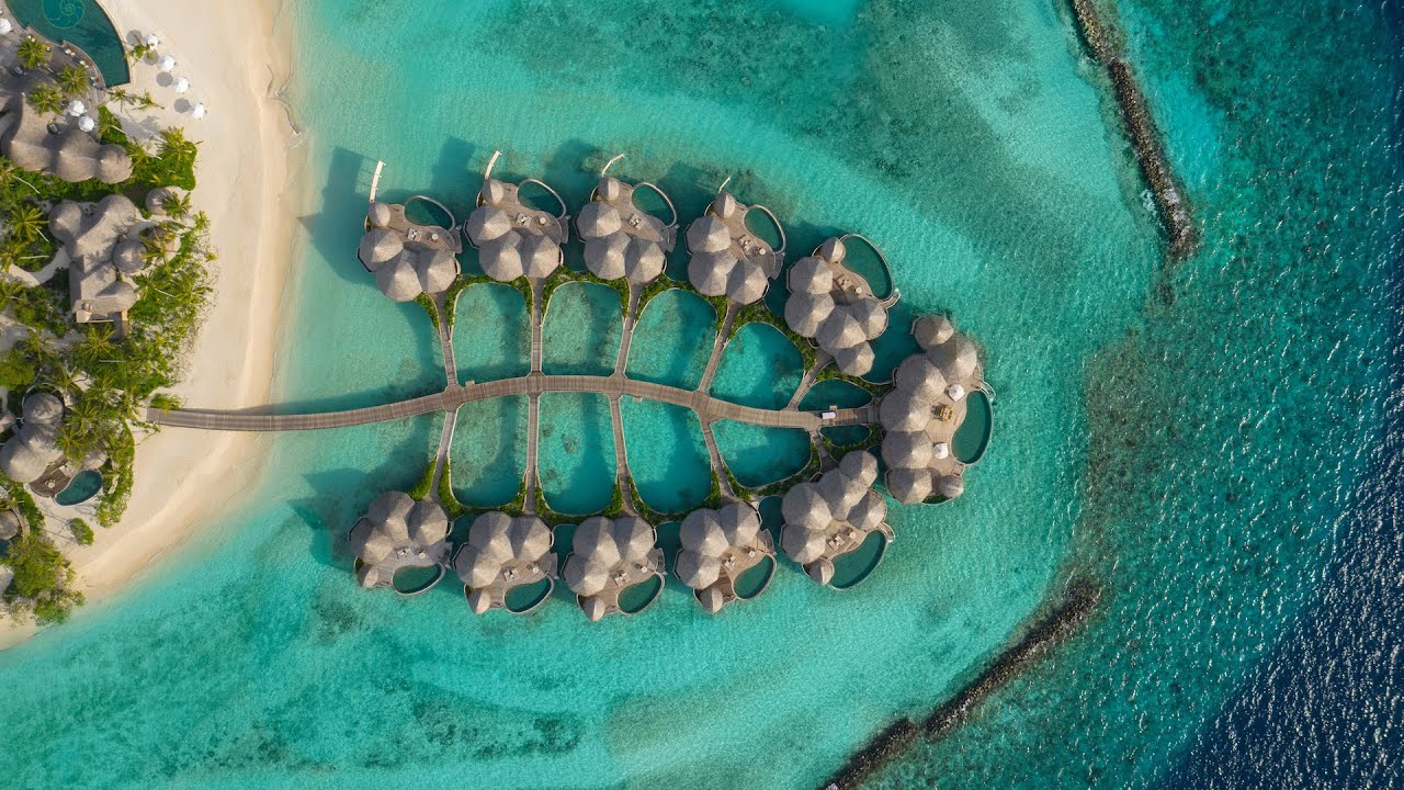 Intour Maldives Webinar - Вебинар с отелем The Nautilus Maldives