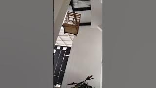 cucak jenggot bersiul merdu..