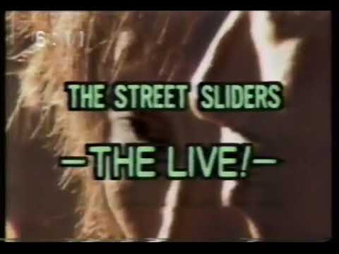1987　青森放送番宣