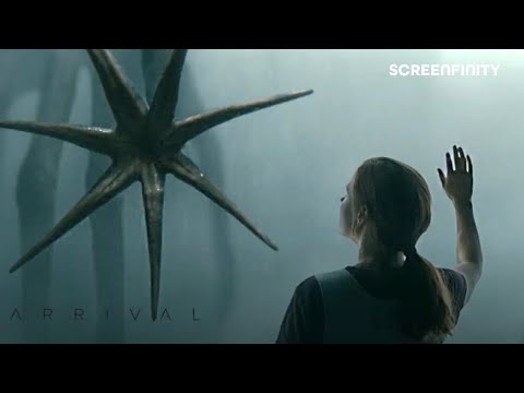 Meeting the aliens for the first time in Arrival (ft. Amy Adams) | Arrival (2016) | Screenfinity