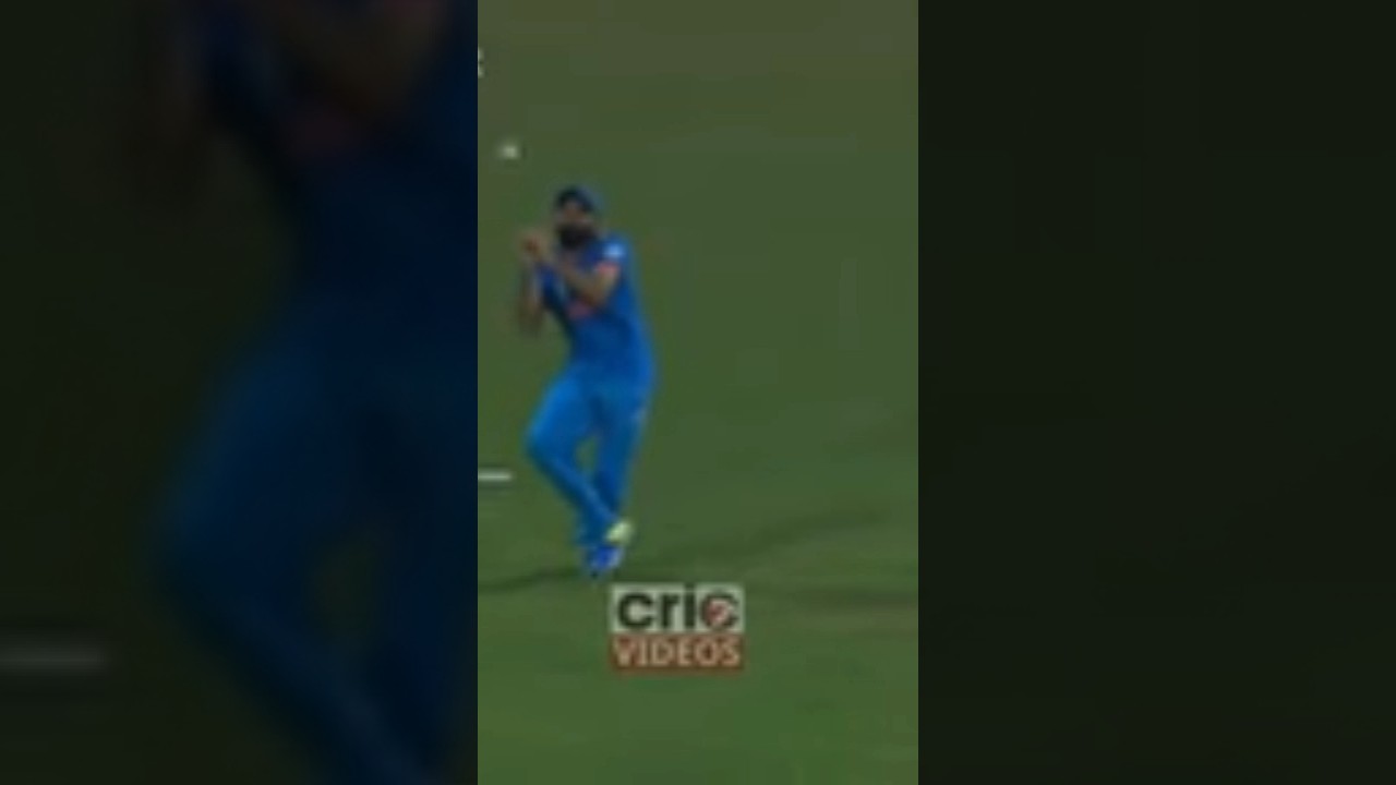 shami drop easy catch india loose 