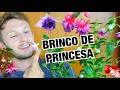 BRINCO DE PRINCESA - COMO CUIDAR dessa planta PENDENTE