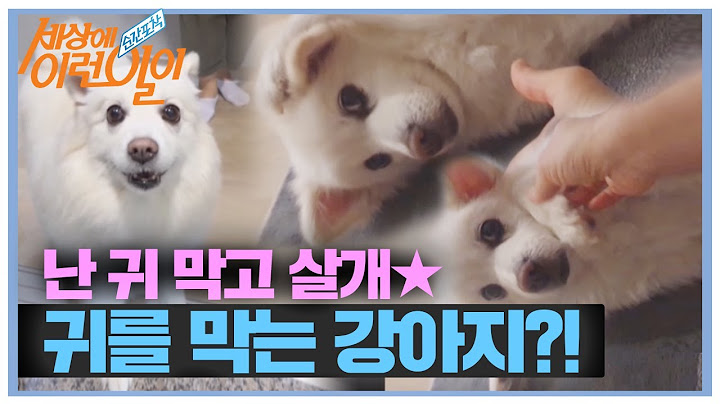 [선공개] 듣기 싫으면 귀를 막는다?! 난 귀 막고 살개~ㅣ순간포착 세상에 이런 일이(Instant Capture)ㅣSBS Story