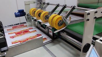 Ding Shung Aspire Litho Laminator flip flop stacker toutinservice