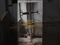 Agitator for High Viscous Slurry