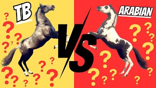 STALLIONS COLLIDE! | THOROUGHBRED VS ARABIAN | RIVAL STARS HORSE RACING