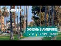 Жизнь в Америке: гуляю 4 - 5 миль в день. #shorts