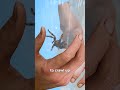 How To Catch A Spider рџ How To Catch A Spider рџ