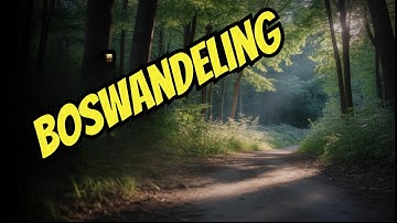 Verrassende wandeling door het Buggenhoutbos