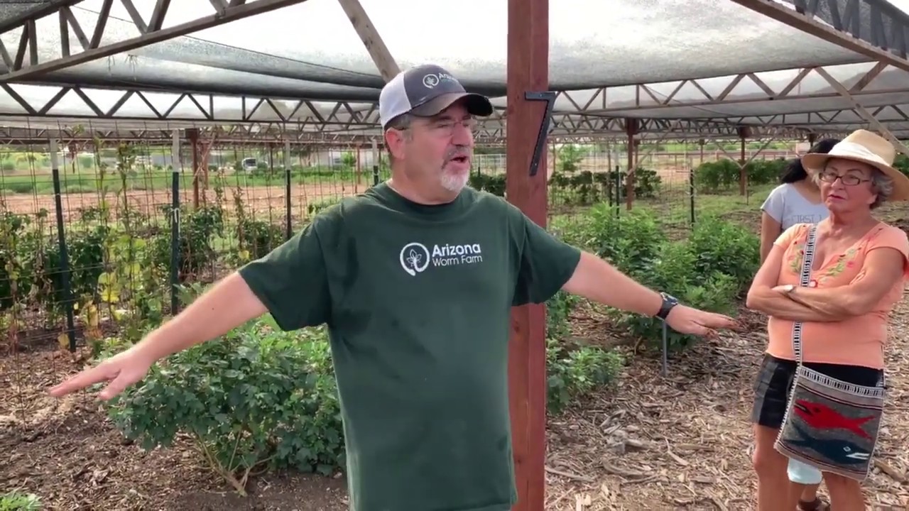 Arizona Worm Farm Station 7 Raised Bed Garden YouTube