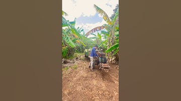 Rewieu quay máy nổ ngược lại #xecongnong