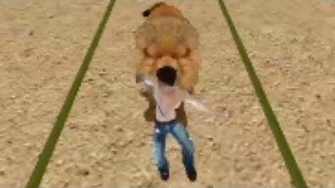 Zoo Run & Fps Meter By Madpapps In Samsung A02 Part 1 Gameplay Android HD Walkthrough - Gamelon HD