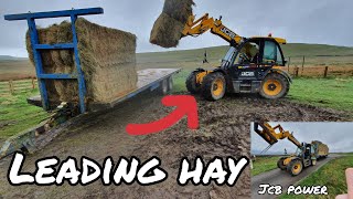 BIG LOAD OF HAY FOR SHEEP AND CATTLE